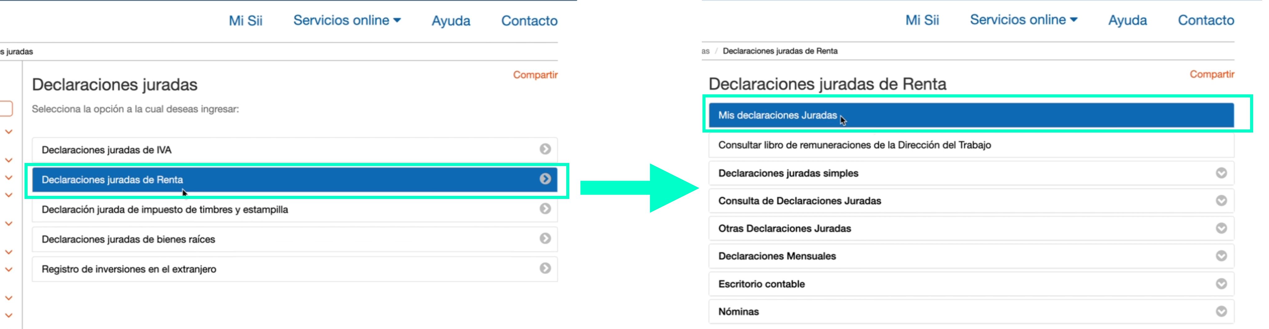 Ingresar a declaraciones juradas