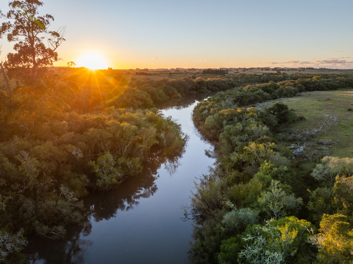 Logo Biosfera Austral